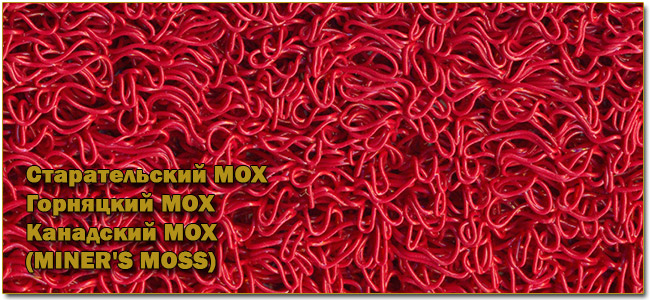 Старательский МОХ, Горняцкий МОХ, Канадский МОХ,(MINER'S MOSS)